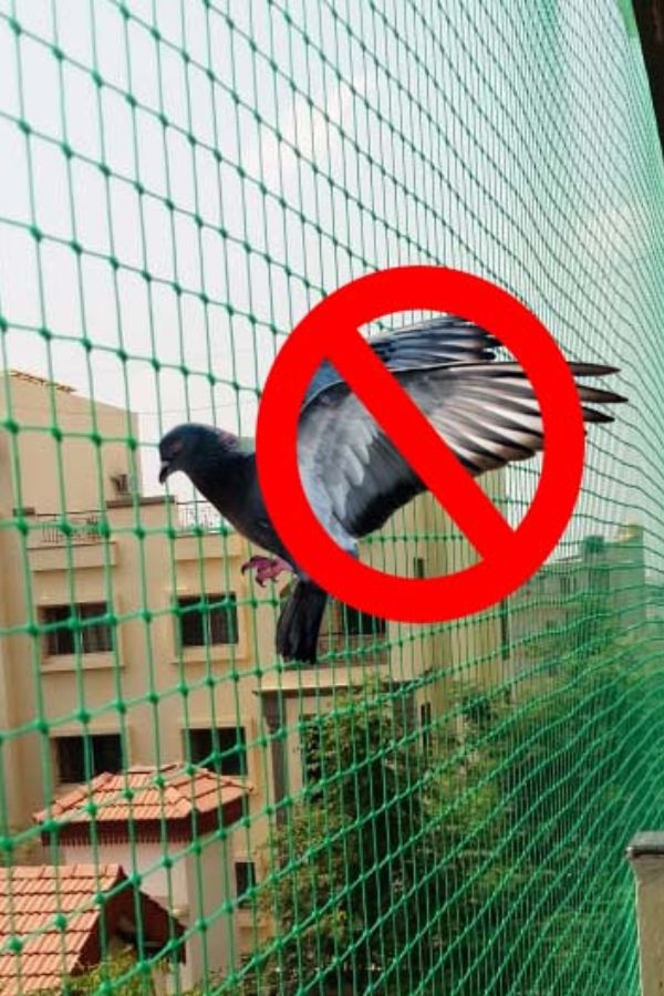 Pigeon Nets Installation Near Me in Hyderabad